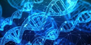 test ADN des origines ancestrales