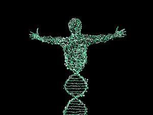 où commander un test ADN des origines