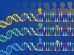 L'ADN ancien permet d'analyser les liens de parenté et la consanguinité