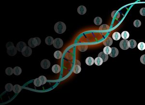 L'analyse de l'ADN ancien révèle les secrets de famille 