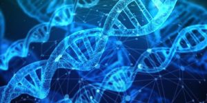 Lettre d'information sur les tests ADN