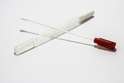 écouvillon buccal utilisé pour un test ADN